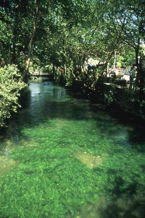 The emerald green water of the river Sorgue