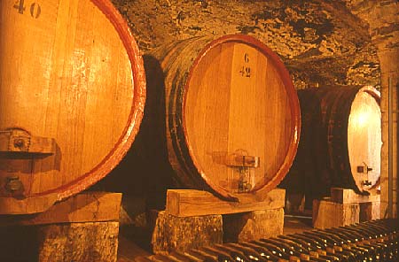 Foudres de chêne dans une cave voûtée à Châteauneuf-du-Pape